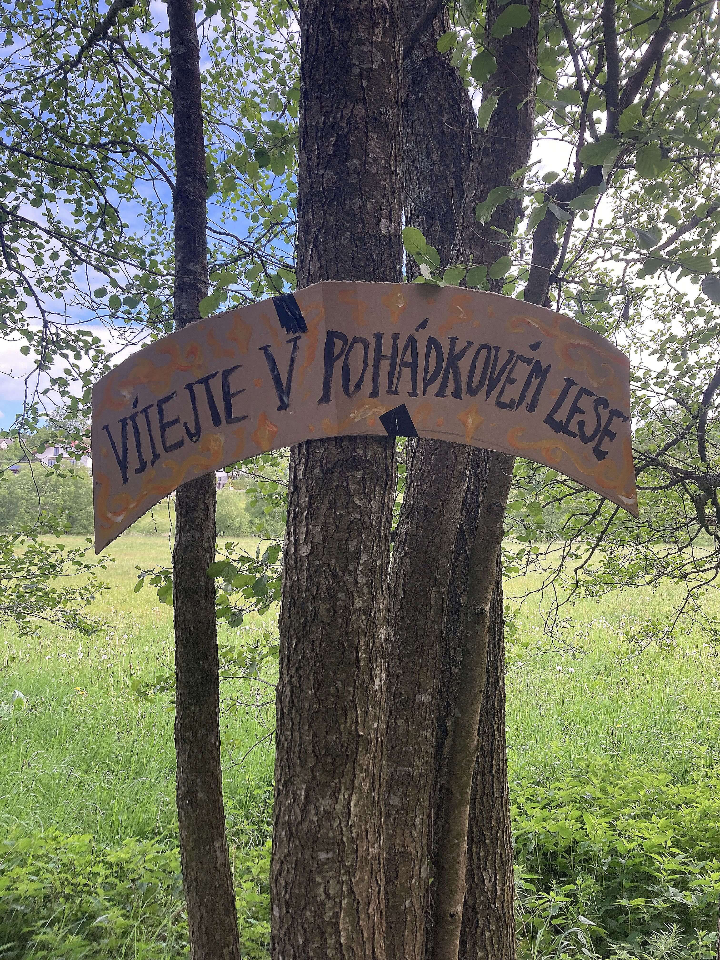Pohádkový les - 2025